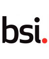 Logo for BSI ISO 9001:2015 Internal Auditor (TPECS) Logo for BSI ISO 9001:2015 Internal Auditor (TPECS)