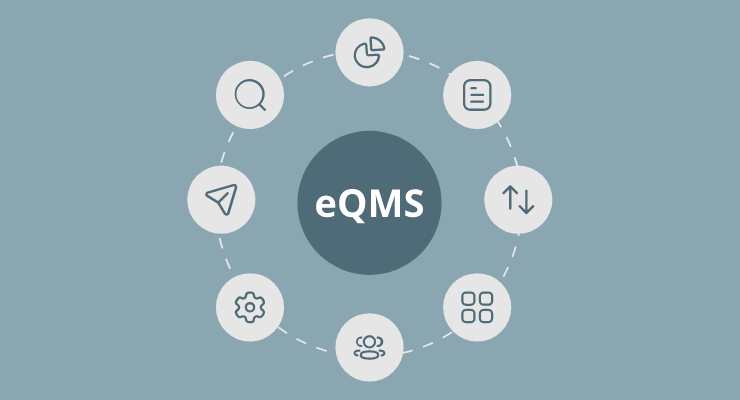 eQMS Implementation Process + Checklist