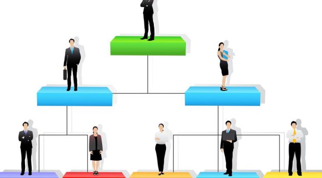 4 Common Types of Organizational Structures - AllBusiness.com